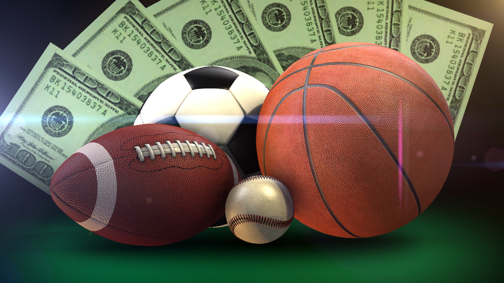 Discover the Thrill of Free Spins with No Wagering 24