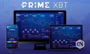 PrimeXBT vs Pocket Option Which Trading Platform Reigns Supreme PrimeXBT vs Pocket Option Which Trading Platform Reigns Supreme